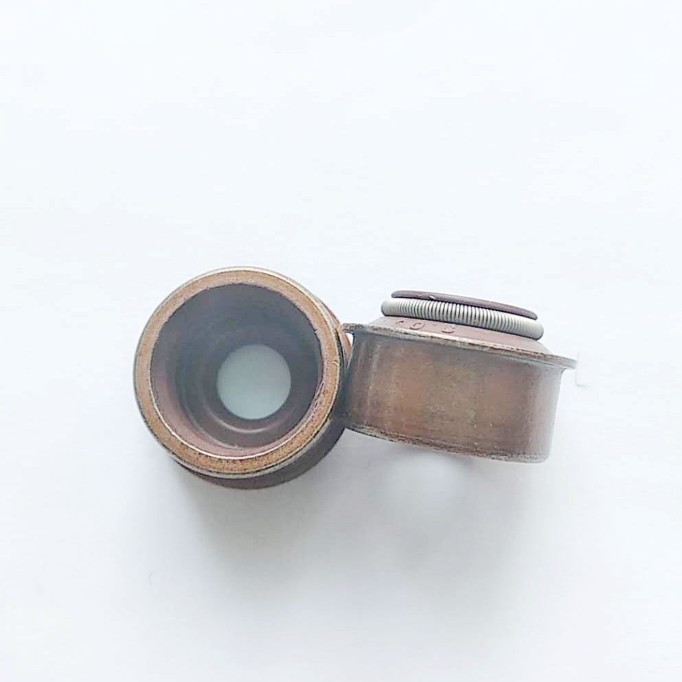 Engine 5031936300 Valve Stem Seal
