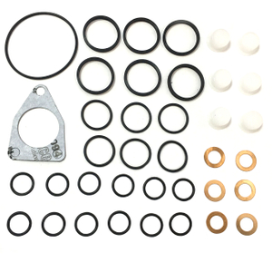 Fuel Pump Repair Kits 800857