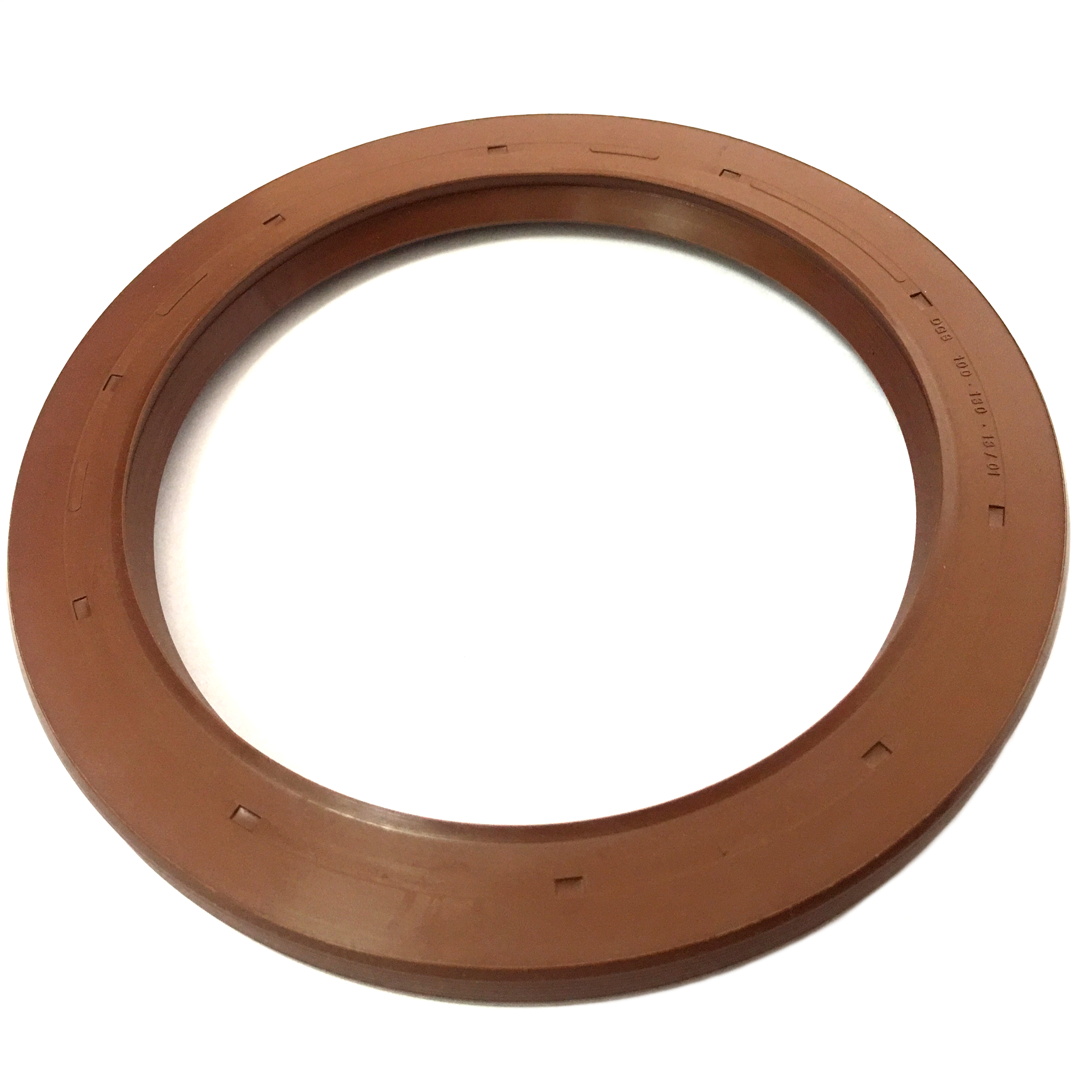 Oil Seal DGS 100*130*13/01