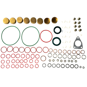 Diesel Pump Repair Kits 2417010022