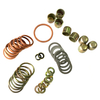 Diesel Pump Repair Kits 2417010022